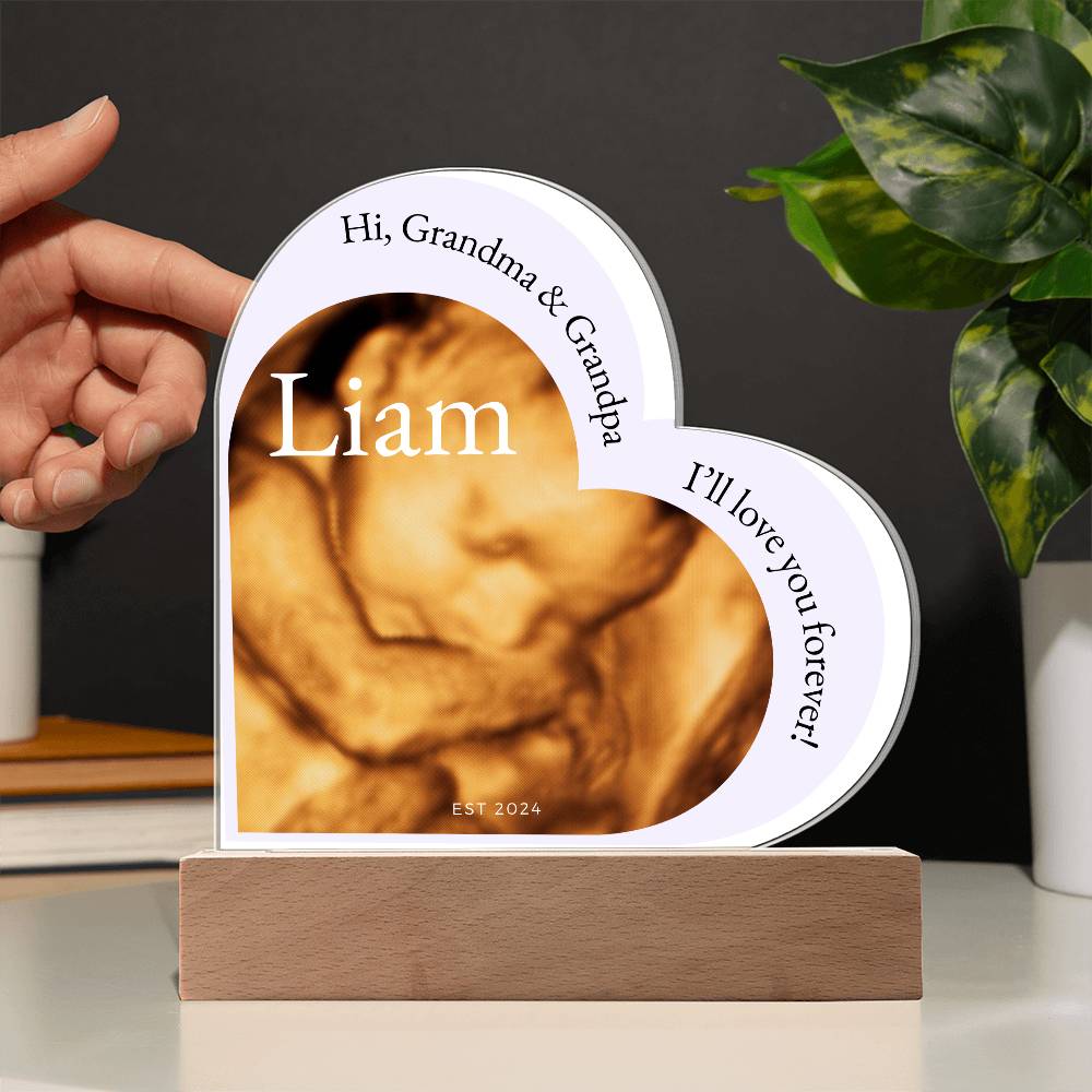Hi Grandma and Grandpa Photo Ultrasound Acrylic Plaque