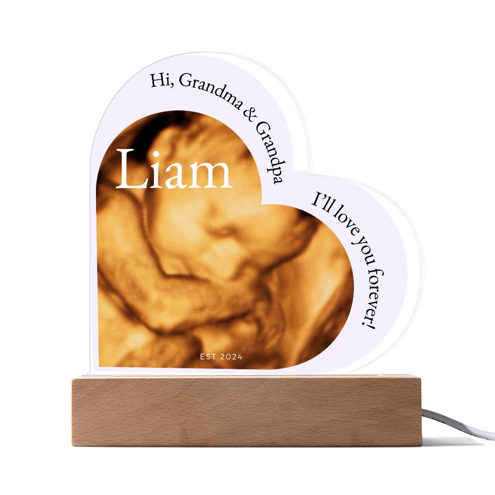 Hi Grandma and Grandpa Photo Ultrasound Acrylic Plaque