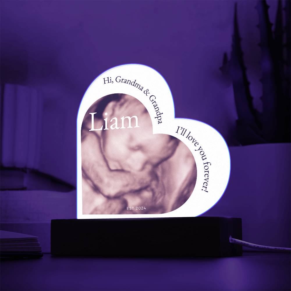 Hi Grandma and Grandpa Photo Ultrasound Acrylic Plaque