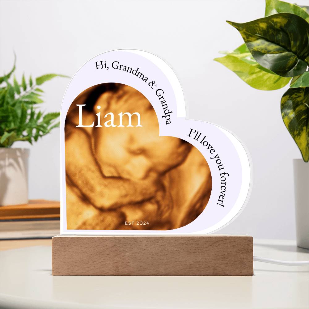 Hi Grandma and Grandpa Photo Ultrasound Acrylic Plaque