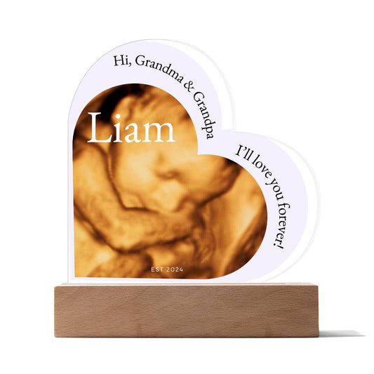 Hi Grandma and Grandpa Photo Ultrasound Acrylic Plaque